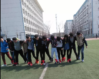 图片8